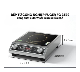 Bếp Từ Công Nghiệp 3500W Fuger FG 3579