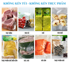 Máy Hút Chân Không DZQ500 ProMax